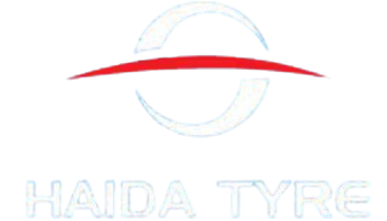 haida_tyrs_logo_cropped_processed_by_imagy-removebg-preview